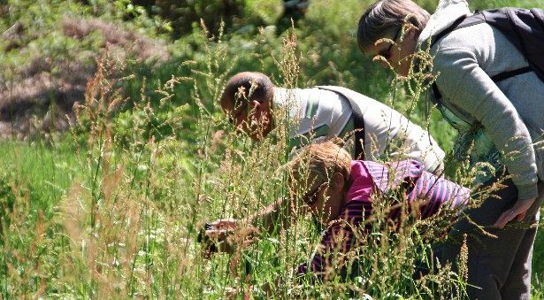 Animation nature en famille
