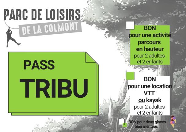 PASS Tribu, 4 activités